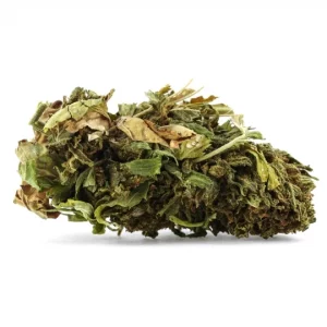 sour diesel fleur de cbd greenhouse