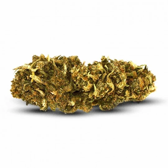 super lemon 20 fleur de cbd