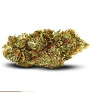 thinkpad 2025 09 02 #01