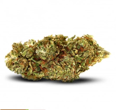 thinkpad 2025 09 02 #01